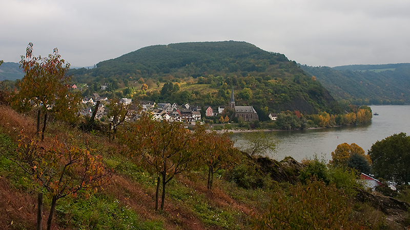 Blick auf Filsen