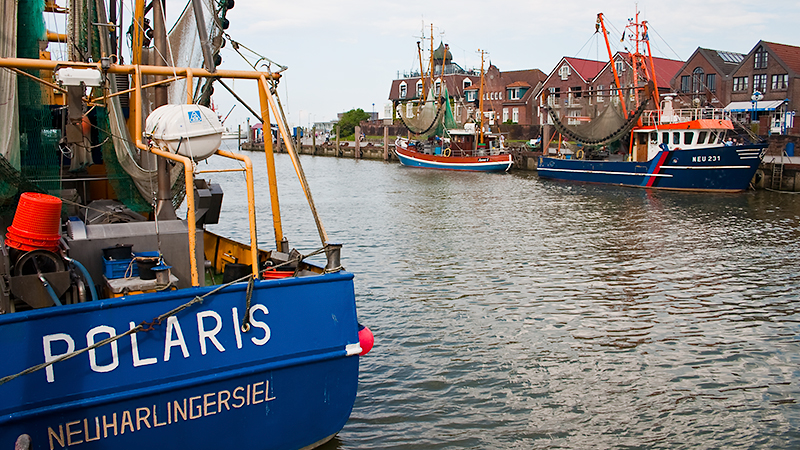 Nur wenige Fischkutter liegen in ihrem Heimathafen