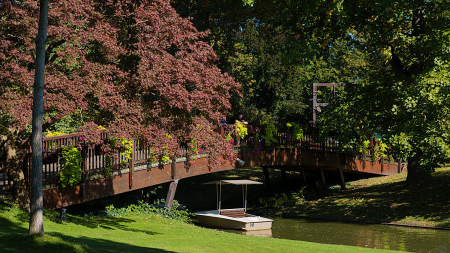 Viel Grün im Stadtgarten