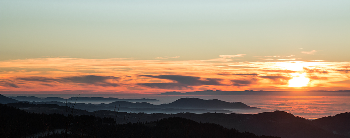 Vorschaubild Schwarzwald