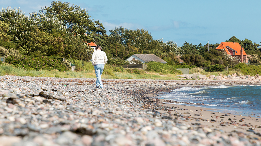 Auf der Suche nach Hühnergöttern am Strand von Gedser